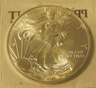 2017 US Silver Eagle in Coin Flip!!