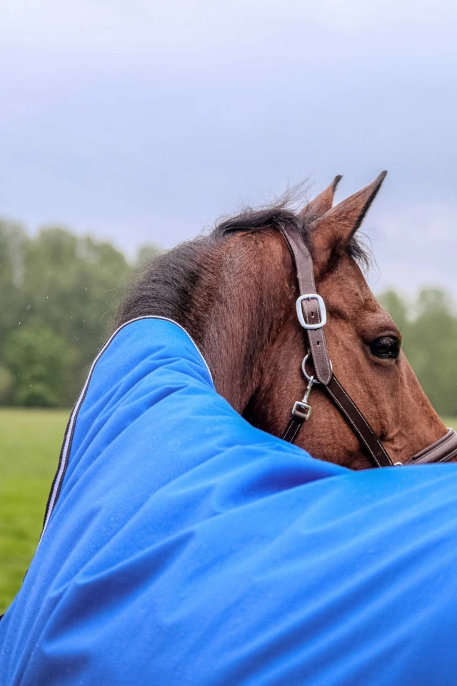 Pferde Outdoordecke Weidedecke Regendecke 50g High Neck 1200D Ekkia 150 cm - Bild 4 von 4