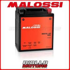 MB14L-A2 BATTERIA MALOSSI GEL TRIUMPH Thunderbird 885 900 1995 2003 YB14L-A2 441