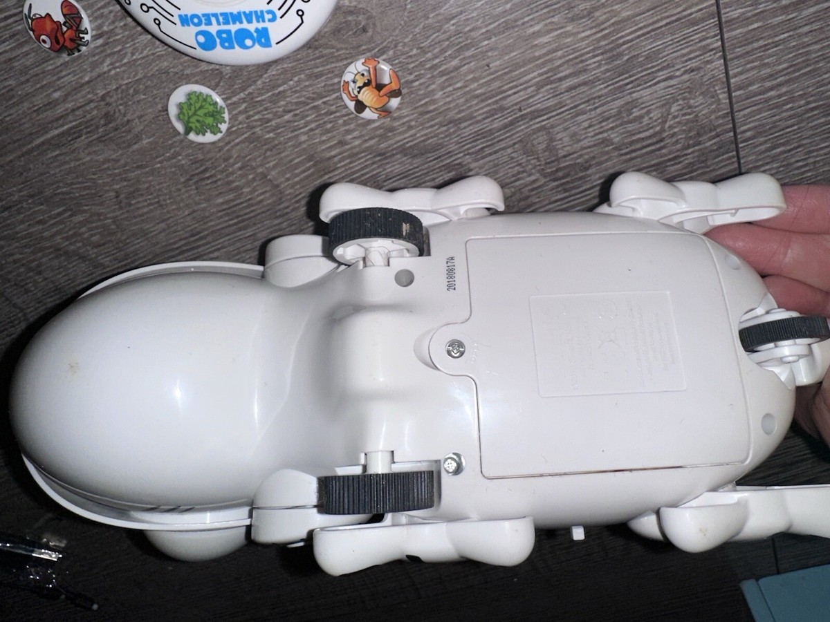 Robo RC Chameleon Electronic Light Up Toy with Remote