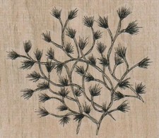 Pines 3 1/2 x 3" Rubber Stamp, Plant Stamp, Tree Stamp