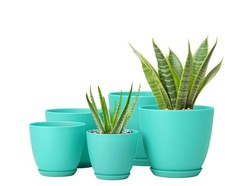 Modern Flower Pots, Space Saving Design, Durable Plastic, Drainage Holes, Aqua