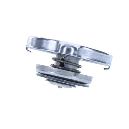 Tapa radiador moto t7 Foto 2 de 4