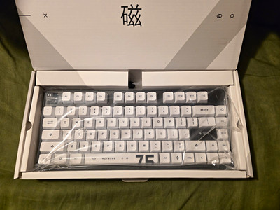 Arbiter Studio Polar 75 Pro Compact White QWERTY English Keyboard