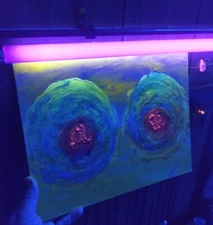 Signed DDD Breast Imprint Glow-In-The-Dark Canvas Painting