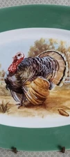 TST Taylor Smith Taylor MCM Conversation Medium Turkey Platter Wide Green Border