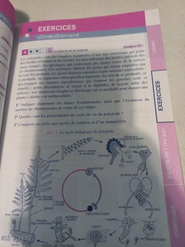 Sciences de la Vie et de la Terre, Tle S Hervé Desormes; Isabelle Desormes - Picture 12 of 12