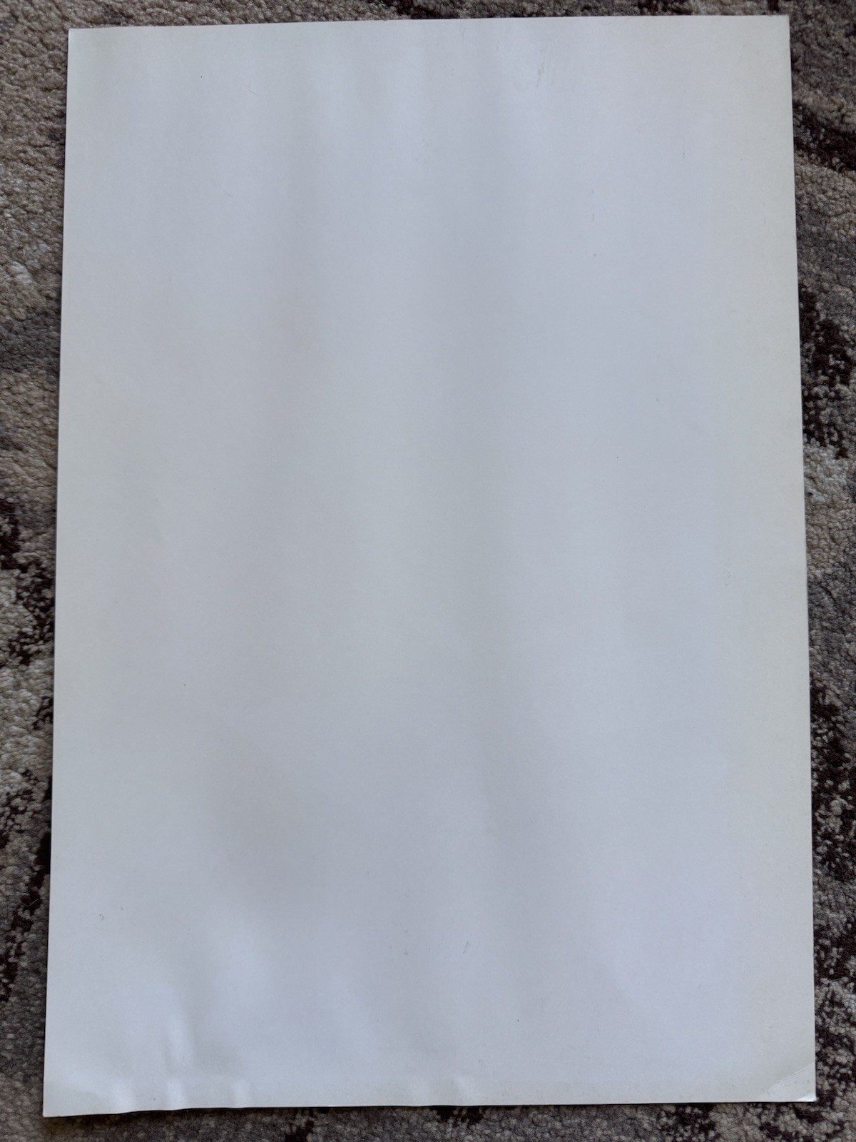 Vintage No Doubt Band ConcertPoster Print 2002 Fillmore Denver Punk Ska Art Y2K