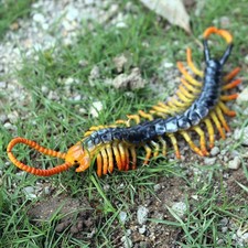 Fidget Worm Toy Simulated Scolopendra Toys Centipede Gummie Artificial