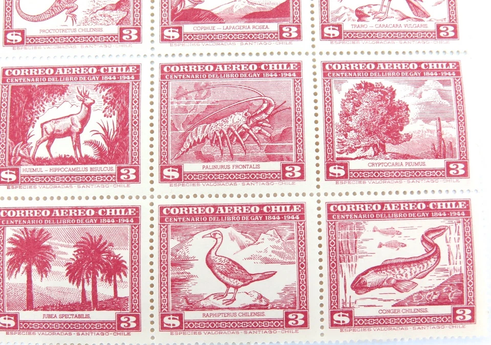 .SCARCE 1948 CHILE #C124 BLOCK of 25 $3, FLORA & FAUNA. MH - Image 3 of 4