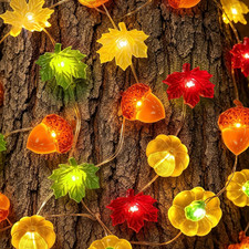 Fall String Lights 40 Leds Acorn 3D Pumpkin Leaf Fairy Lights Indoor