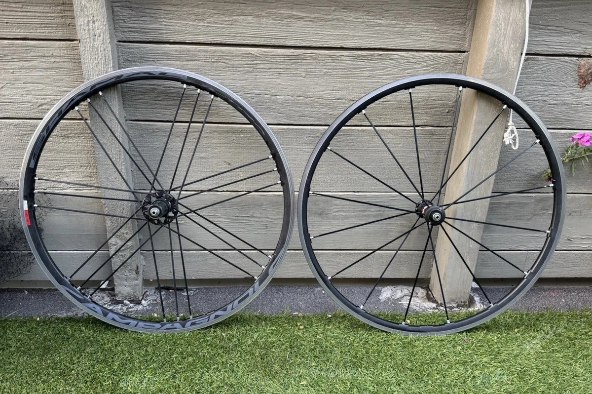 Campagnolo Shamal for sale | eBay