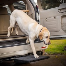 Pet Ramp Step Helps Dogs Get in  Out of Car Van SUV No Tools Needed