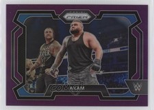 2024 Panini Prizm WWE Purple Prizm 97/149 Akam #24 06qx