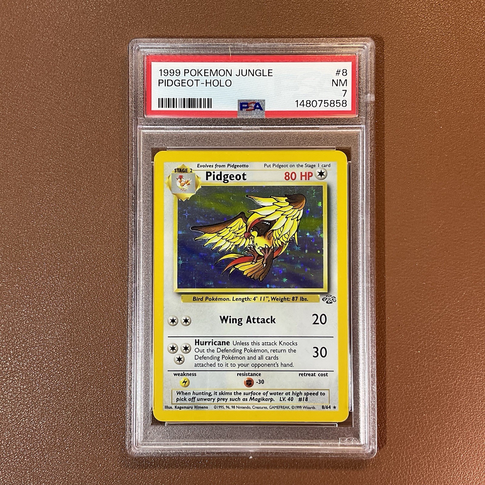 Pidgeot Holo #8/64 – 1999 Pokémon Jungle Set Vintage WOTC Card – PSA 7 NM