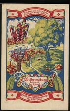 Notgeld Wilhelmsburg, 1921, 50 Pfennig, farbenfrohe Landschaft mit Baum und Sta 