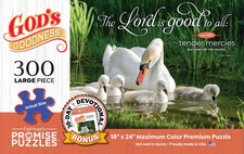 CHRISTIAN PUZZLE: God's Goodness 300 Pieces