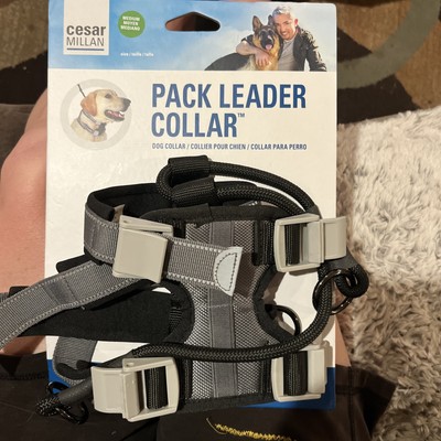 Dog Collar Cesar Millan Harness Instructions Cesar Millan Pack