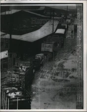 1946 Press Photo Trucks line up for stockyards in KC to unload hogs  - nee13126
