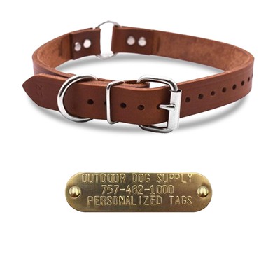 1'' Leather Center Ring Dog Collar with Brass Name Plate