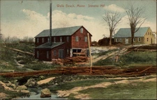 Wells Beach Maine Stevens Mill mailed c1910s DPO Webhannet ME vintage postcard