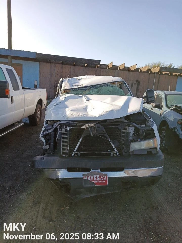 WHT DECKLID TAILGATE 15231877 1999-2006 CHEVROLET SILVRDO25 — 第 4/4 张图片