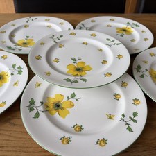 NEW 6 x Royal Victoria Fine China Yellow Rose Floral Salad Dessert Plates 8.25”