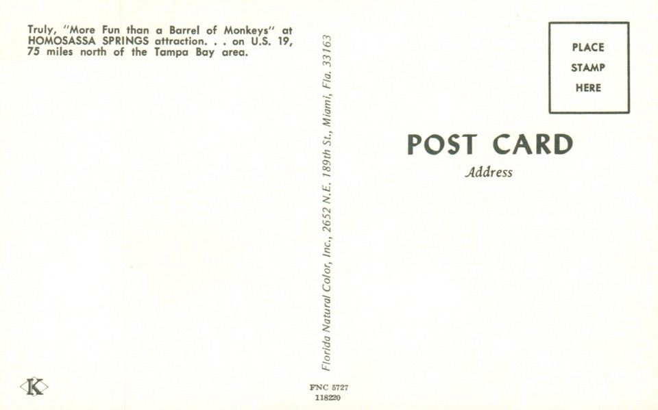 Postcard FL Homosassa Springs Barrel of Monkeys & Boy Chrome Vintage PC