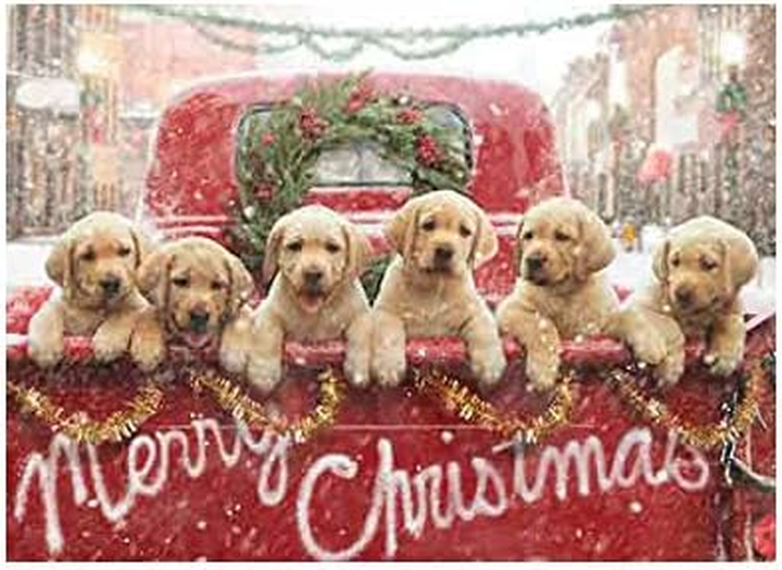 Christmas Cards with Lab Puppies in Red Truck, 10 Pack, Heartwarming Design