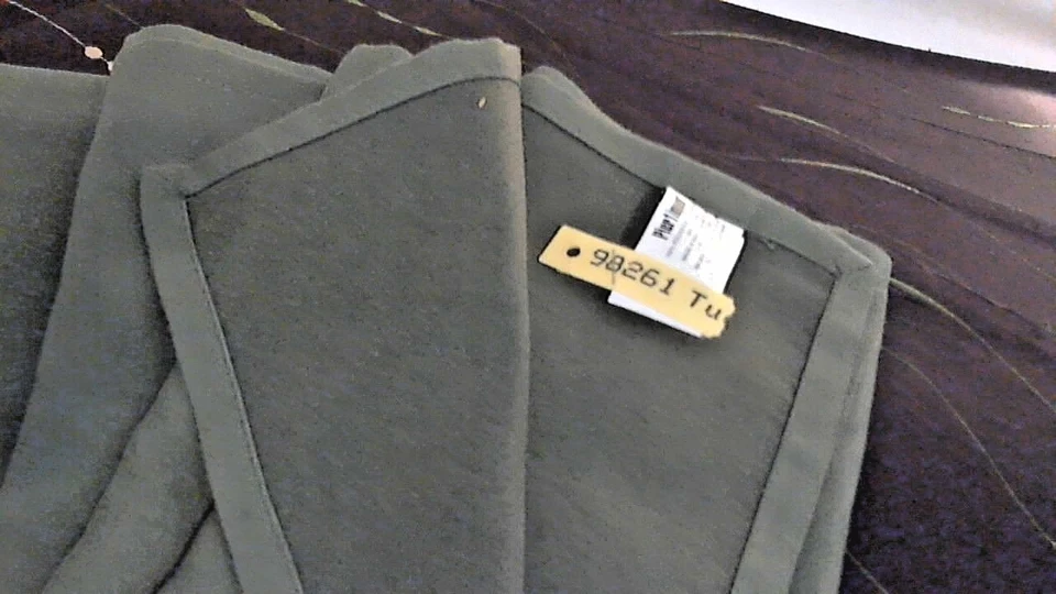 Pier 1 Placemats 9"x 13" Set 4 NEW Pesto Napkins To Match 20" Square Napkins  - Image 4 of 4