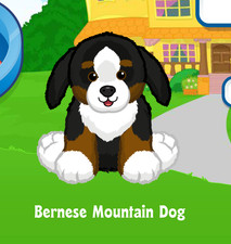 Webkinz Bernese Mountain Dog Virtual PET Adoption Code Only Messaged Webkinz Pup