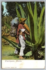 Tlachiquero, México agave sap Harvest Occupational Mexico postcard D9