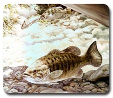 River Smallmouth Bass  Mousepad / PC Mouse Pad  Fly Fisherman / Fishing Gift