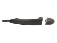 Hinten Links Blic 6010-05-021403P TüRaußEngriff FüR BMW