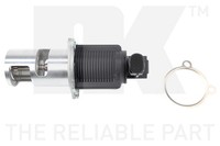 AGR Ventil NK 4599017 FüR Opel Movano X70 Bus Vivaro X83 DTI UD0 UD4 A07 Renault