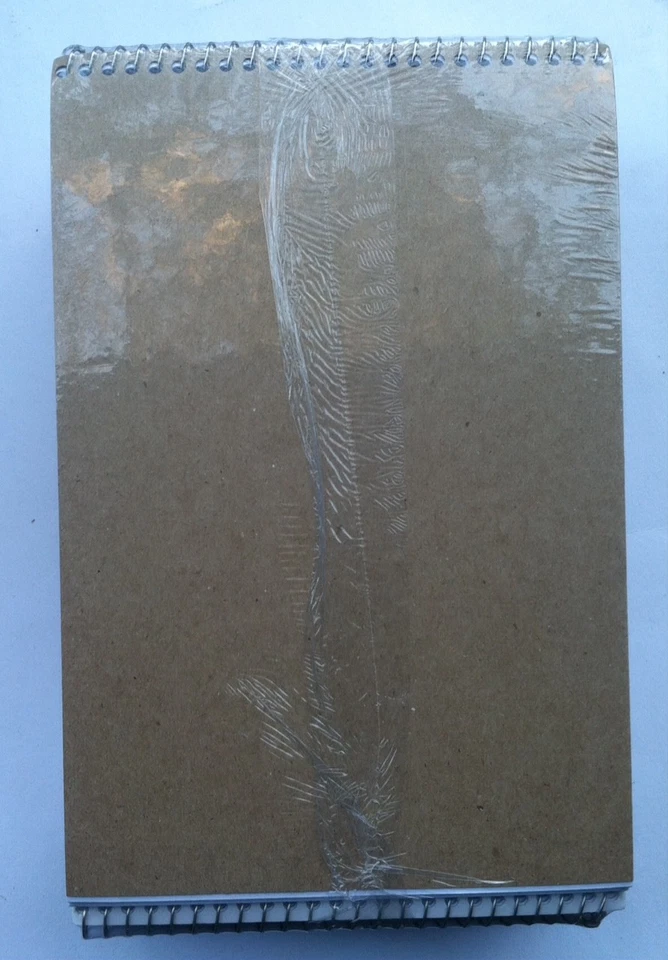 Ampad Rigid Kraft Covered Steno Book 70 Sheet Gregg Ruled 6"x9" White Paper 12PK - Image 2 of 2