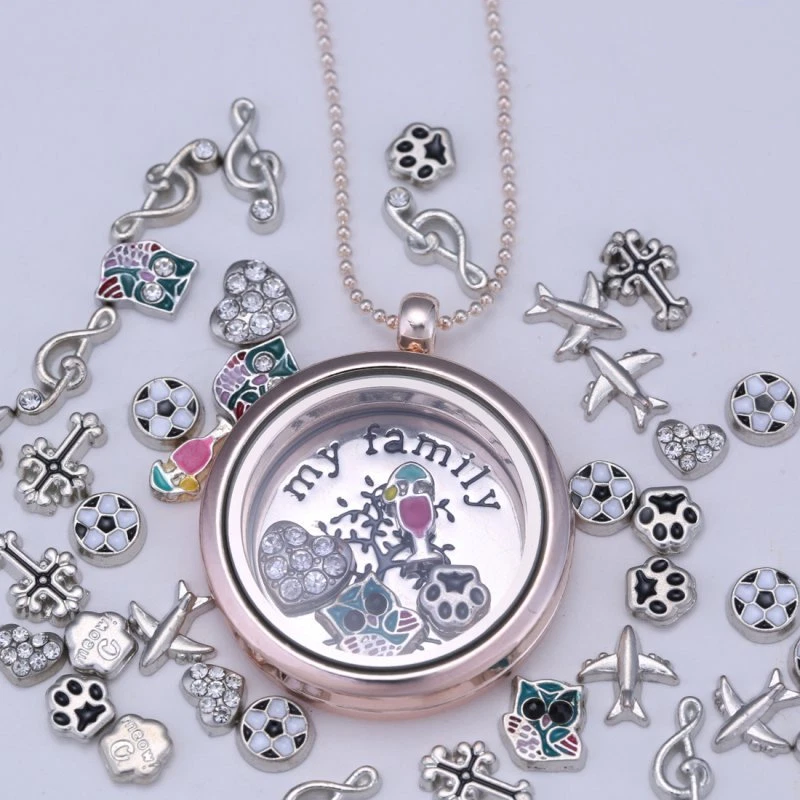 White Gold Plated for Floating Charms Memory living Locket