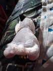 Bild 7 von 12
