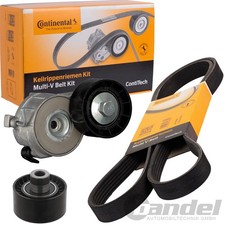 CONTINENTAL CTAM KEILRIPPENRIEMEN-SATZ passend für CITROËN BERLINGO C5 JUMPY