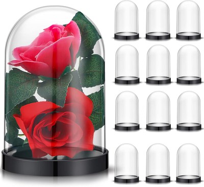 Zhengmy 12 Pcs Plastic Dome Display Case Cloche Bell Jar with black and clear 