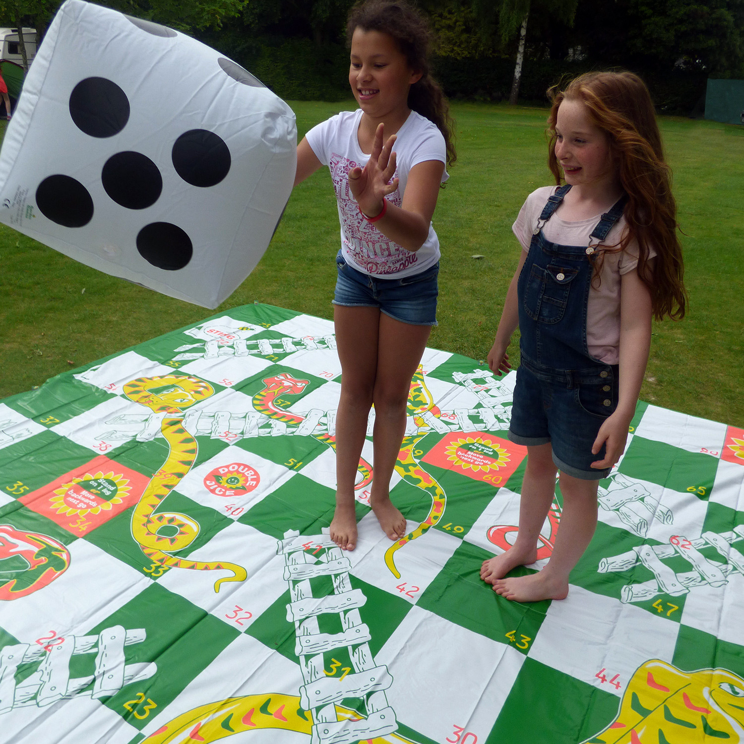 Giant Floor Snakes And Ladders Game Viewfloor.co