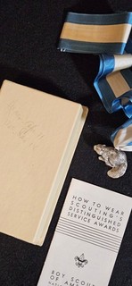 1950 era Boy Scouts of America BSA SILVER BEAVER AWARD Original Box & Ribbon