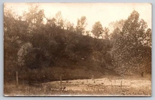 View Near Spring Valley Illinois River Woods Nature Landscape Scenic Scene RPPC