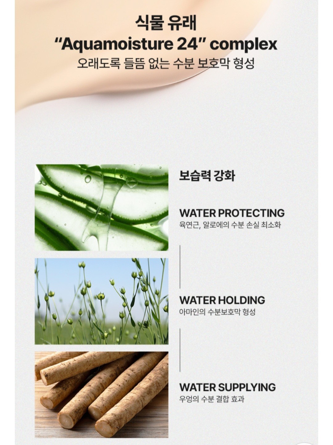 starlike FOUNDATION FREE TONE-UP SUN CREAM SPF 50+ PA++++ 50ml