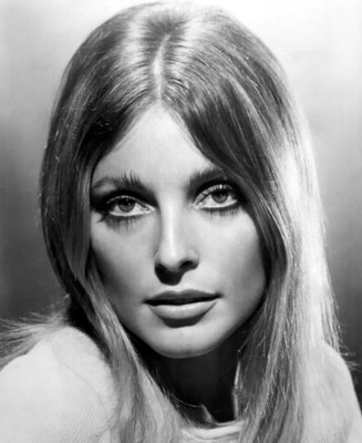 Sharon Tate With Her Captivating Eyes 4x6 Picture Celebrity Print