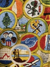 Boy Scout Cotton Quilt Fabric Badge Patch America BSA Uniform 20x27 Kaufman 9140