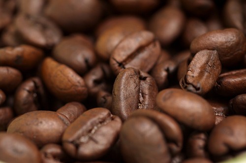 Costa Rican SHB Whole Bean Specialty Coffee, 2 Bags Fresh Roasted Daily