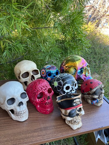 8 Piece Skull Figurine Lot Realistic Resin Gothic Home Decor Skeleton Statues