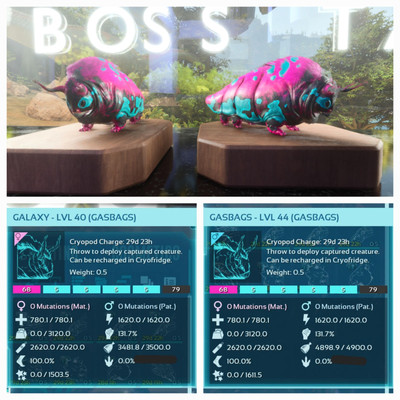 ARK ASCENDED PVE OFFICIAL PAIR BABY GASBAGS GALAXY EXTINCTION PC/XBOX/PS5