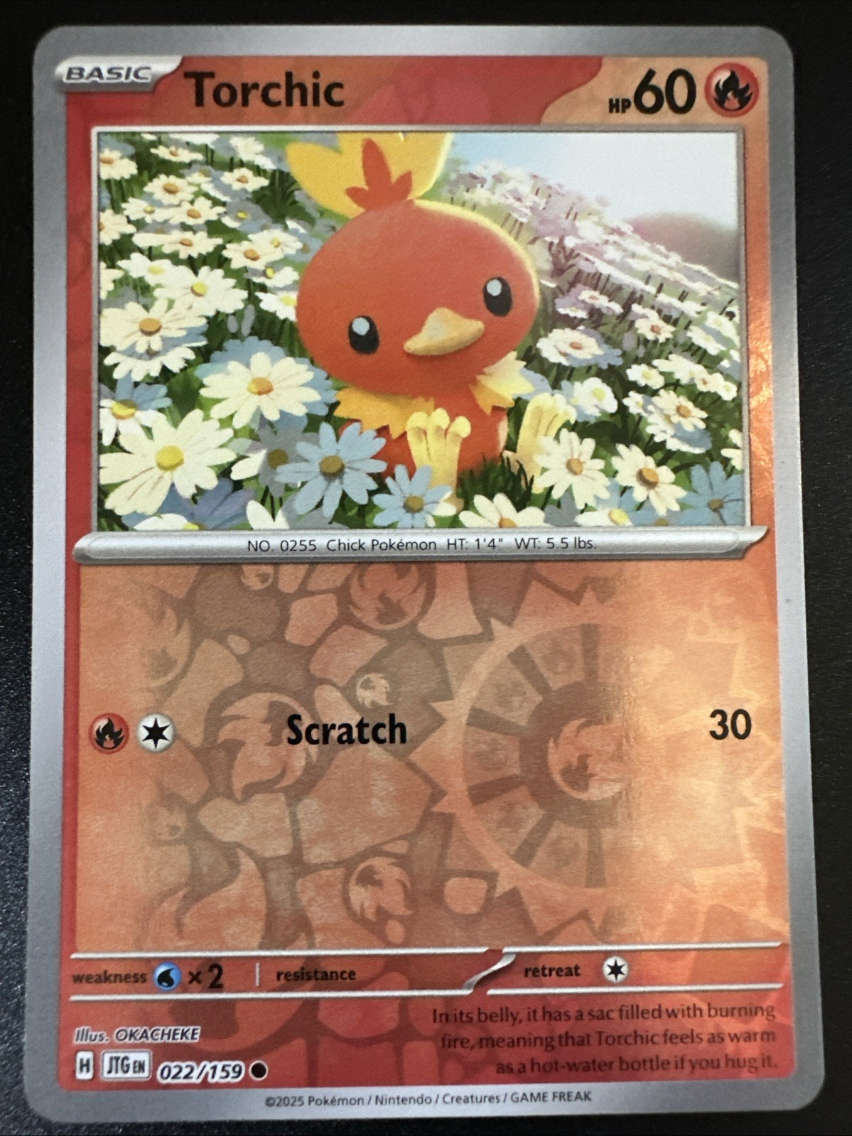 Torchic 022/159 NM Reverse Holo Journey Together Pokémon TCG
